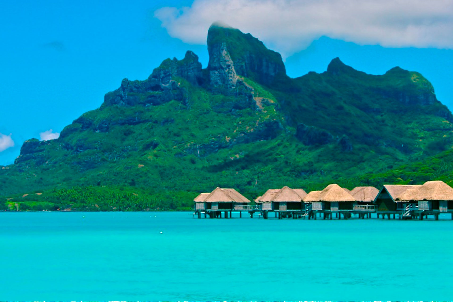 Oceania background aesthetic - Handmade luxury brand concept